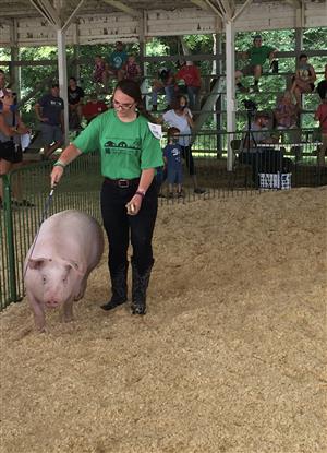 Hayle and pig in show ring